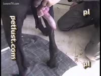 Bestiality Porn Video - He sucks big dick of a dog